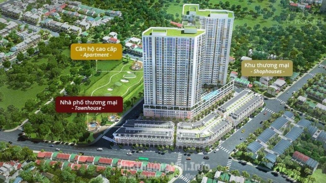 chi tiet phan khu the pegasuite one - MUA BÁN KÝ GỬI CĂN HỘ THE PEGASUITE ONE