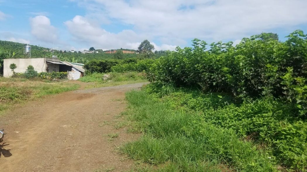 dat nen loc nga dat tho cu gia re - MUA BÁN ĐẤT NỀN LỘC NGA BẢO LỘC