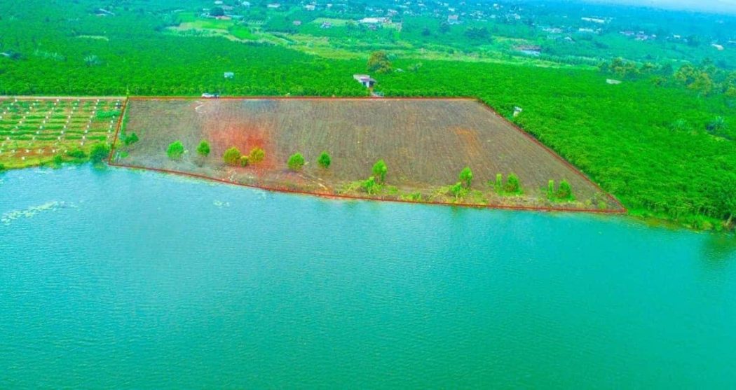 dat nen loc thanh co gia tri tang cao lien tuc - ĐẤT NỀN LỘC THANH BẢO LỘC