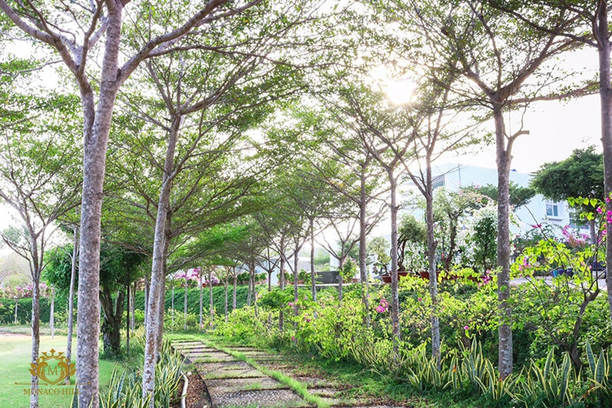 duong-hoa-du-an-monaco-hill-mui-ne duong hoa du an monaco hill mui ne - DỰ ÁN ĐẤT NỀN MONACO HILL MŨI NÉ PHAN THIẾT