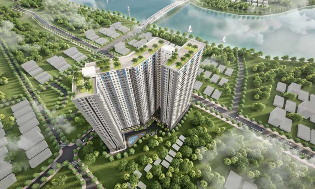 Fresia Tan Van - FRESIA TÂN VẠN