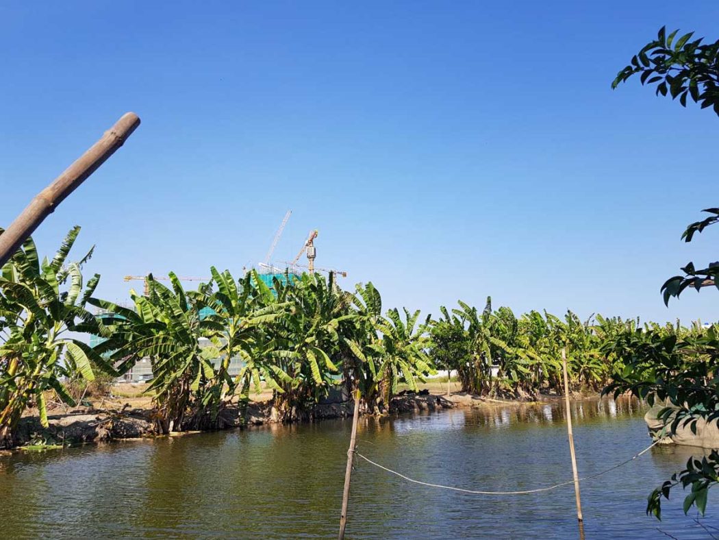 hinh-anh-thuc-te-du-an-the-green-village-khang-dien-1 Hinh anh Thuc te Du an The Green Village Khang Dien - DỰ ÁN THE GREEN VILLAGE KHANG ĐIỀN BÌNH CHÁNH