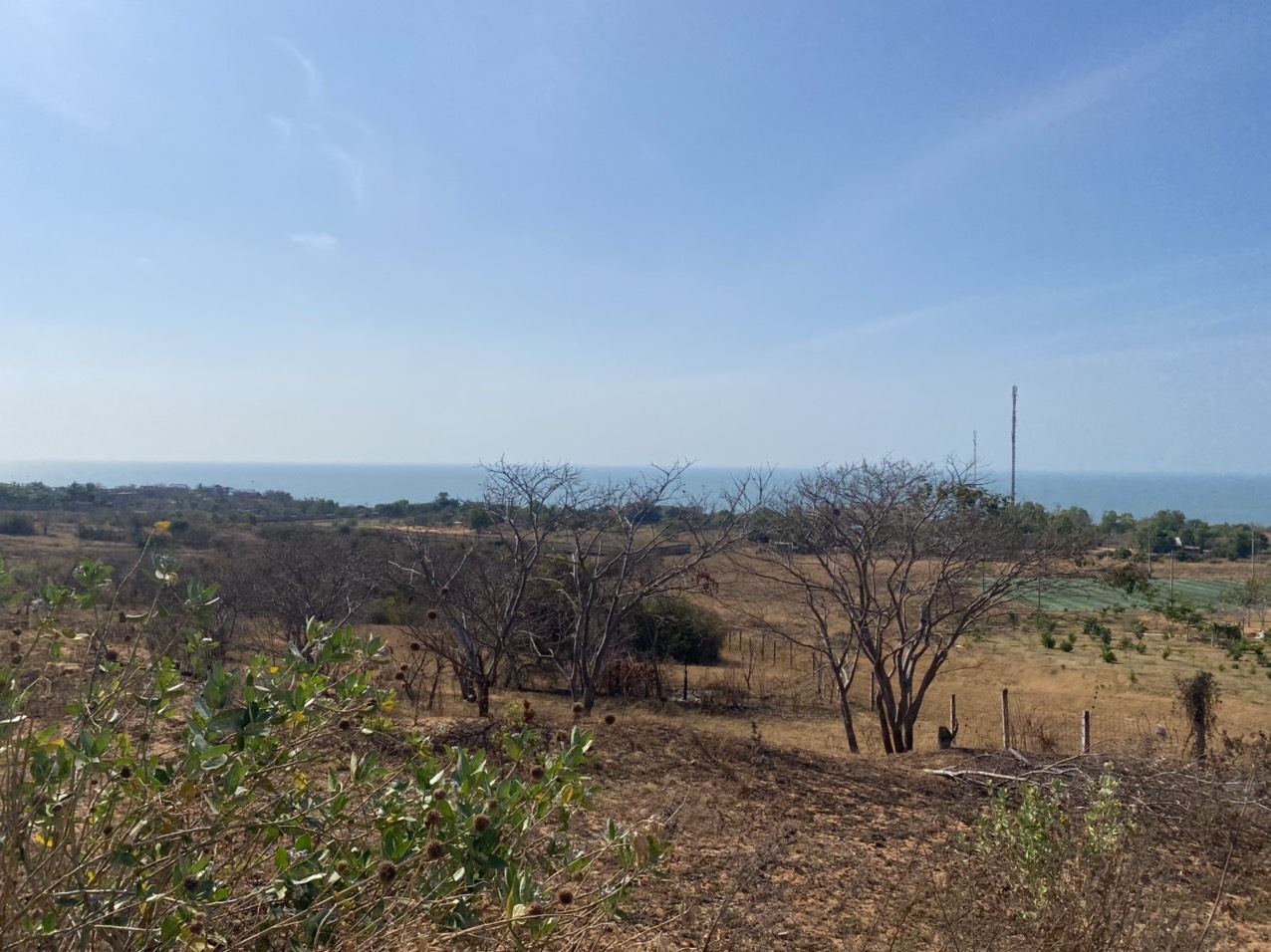 hinh-anh-tien-do-thi-cong-du-an-the-seahara-phan-thiet Hinh anh Tien do thi cong Du an The Seahara Phan Thiet - THE SEAHARA HOTEL & RESORT PHAN THIẾT