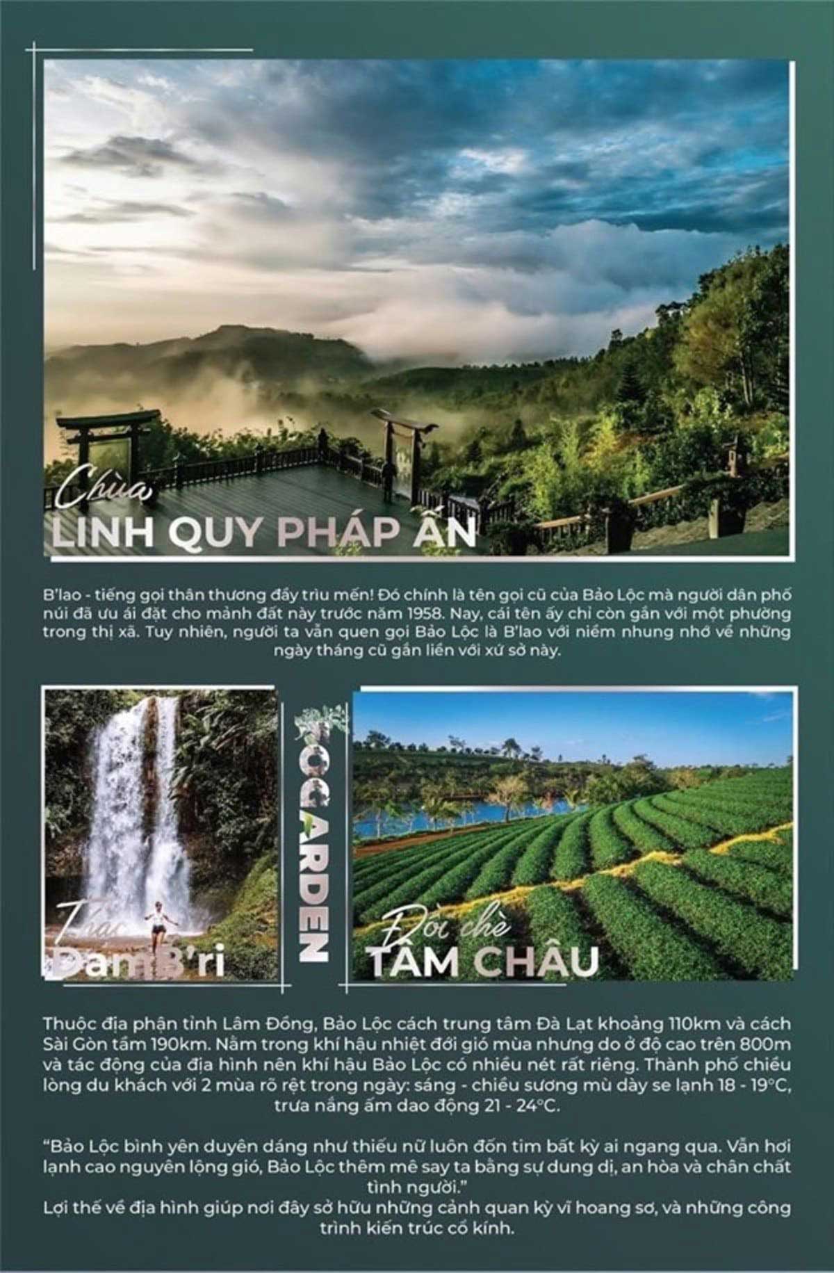 Fog Garden tien ich du an fog garden - Fog Garden