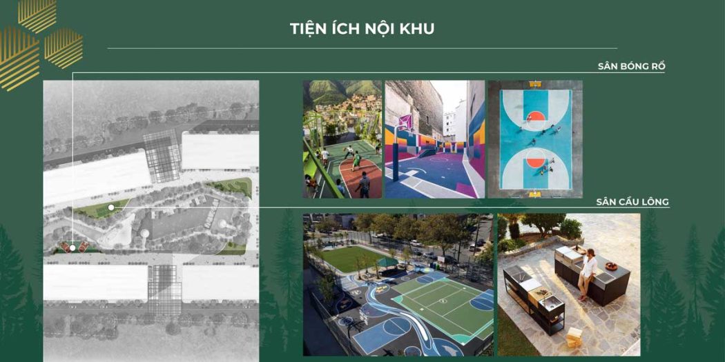 ANDERSON PARK BÌNH DƯƠNG tien ich noi khu san bong ro va san cau long du an anderson park - ANDERSON PARK BÌNH DƯƠNG