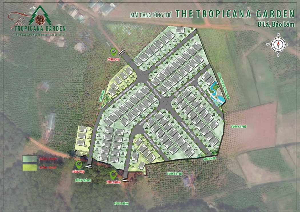 tong-the-tropicana-garden-bao-loc-1 Tong the Tropicana Garden Bao Loc - The Tropicana Garden